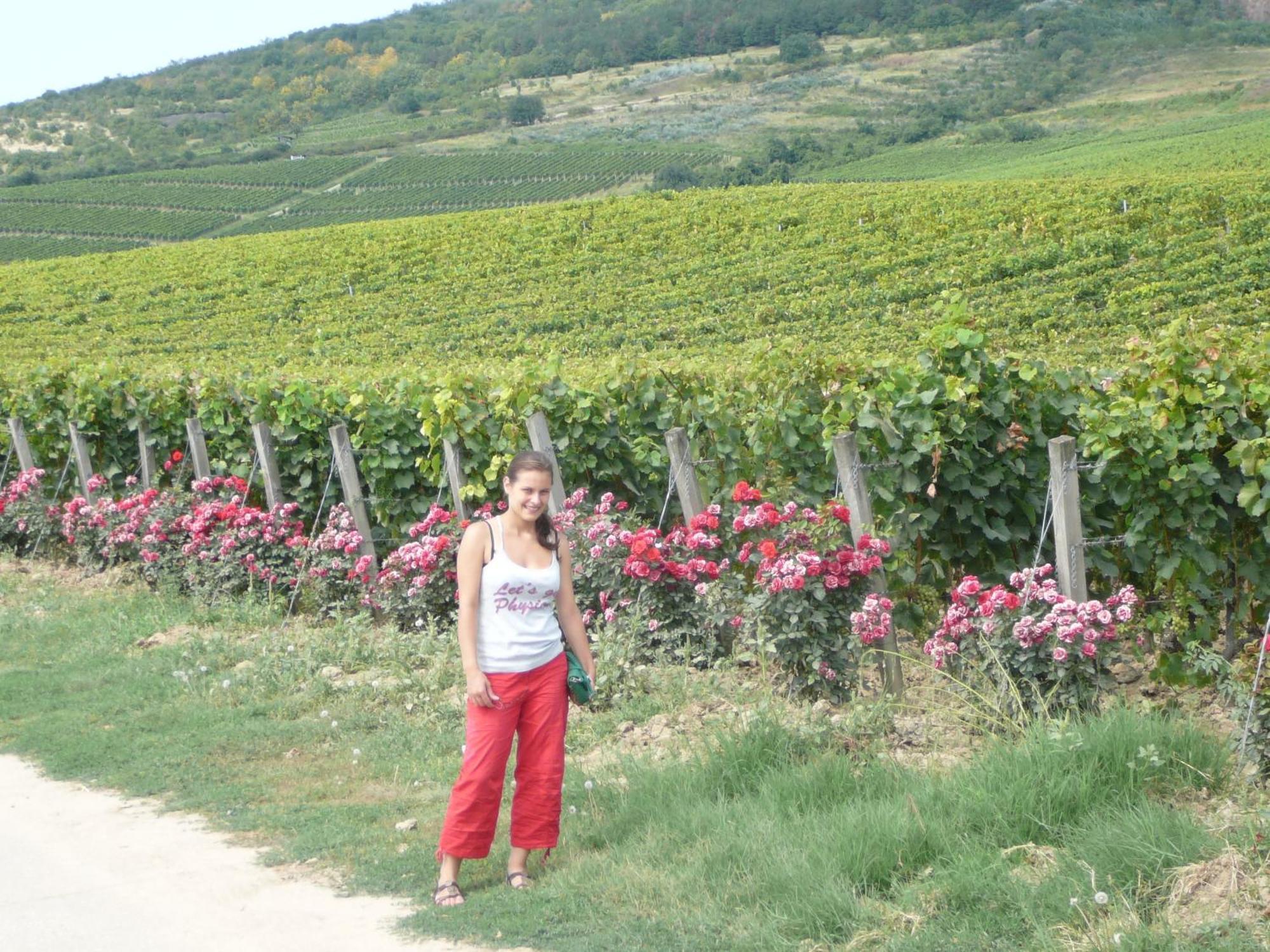 Bed and Breakfast Torkolat Panzio Tokaj Exterior foto