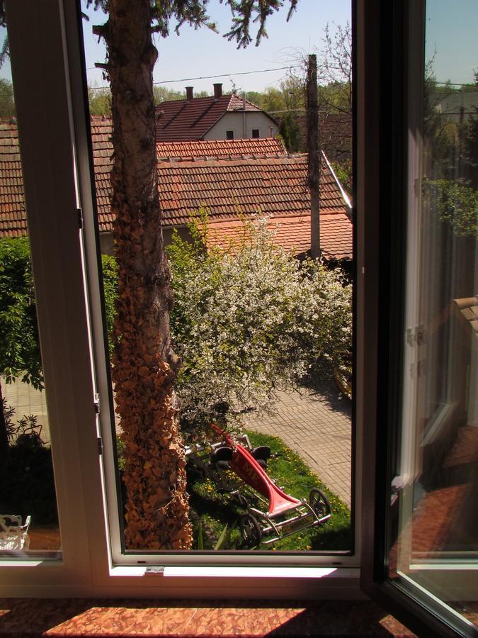 Bed and Breakfast Torkolat Panzio Tokaj Exterior foto